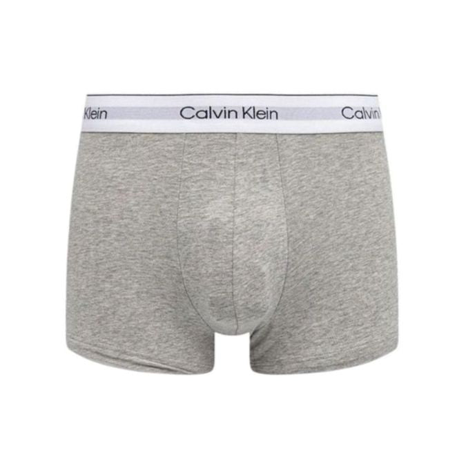 Gray boxer briefs with Calvin Klein logo on a white background